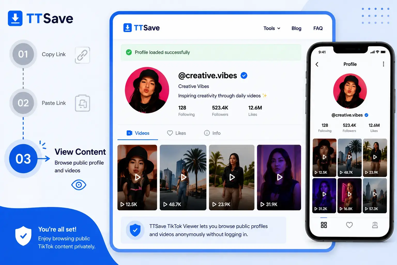 Paste a TikTok link into TTSave Viewer