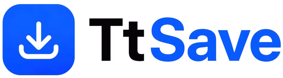 TtSave TikTok Downloader