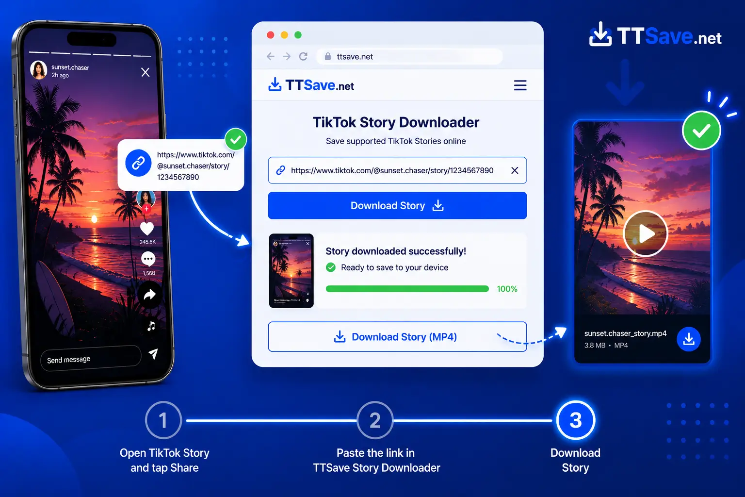 Download a TikTok Story using TTSave