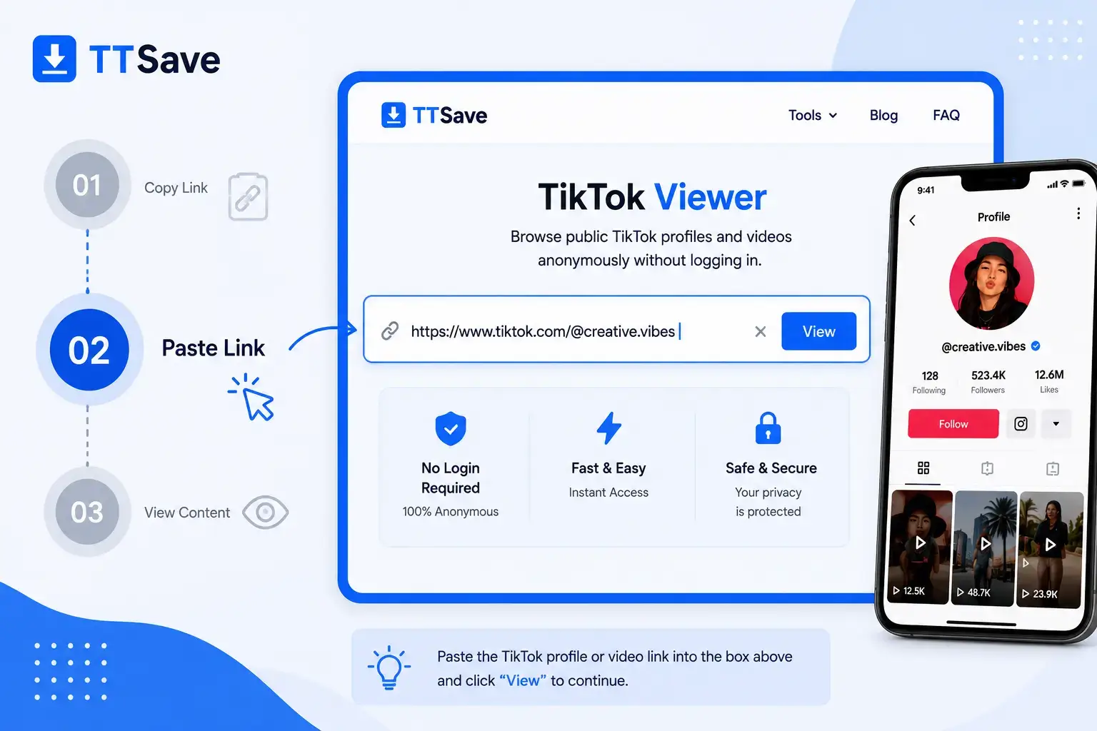 Paste a TikTok link into TTSave Viewer