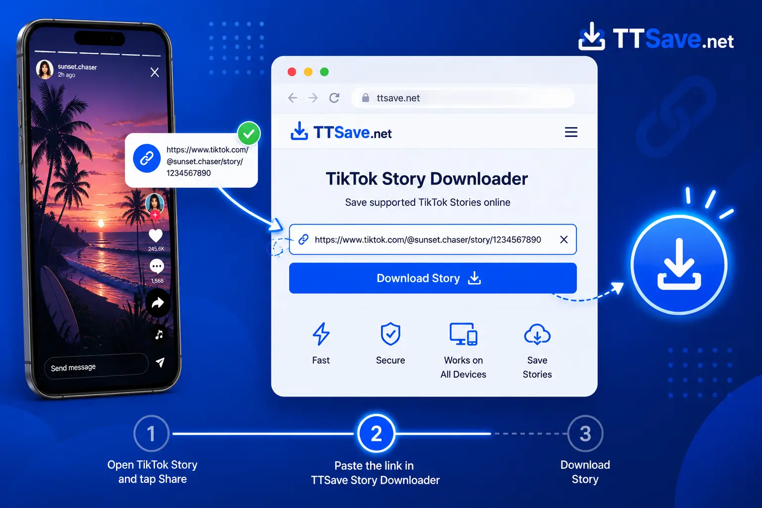 Paste a TikTok Story URL into TTSave